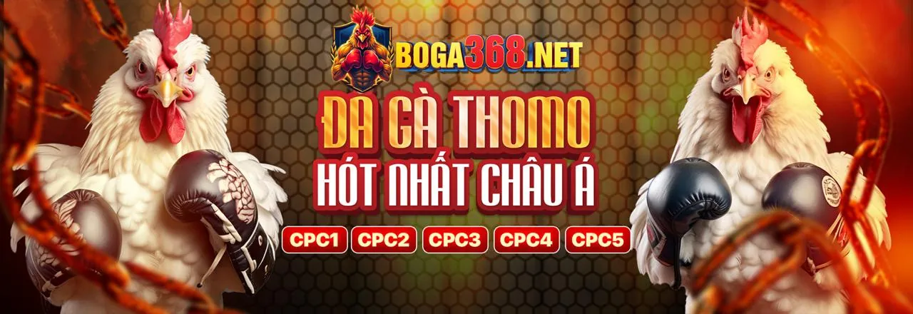 Tải Ứng Dụng 988bet Hiện Đang Mở