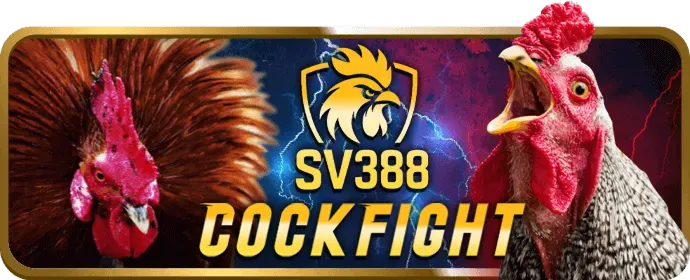 Sự kiện đặc biệt và ưu đãi độc quyền 988bet
